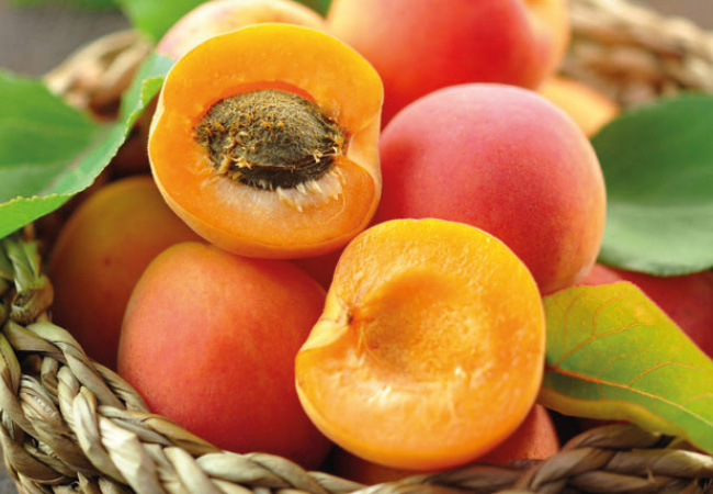 Confetture fresche per la prima colazione del tuo hotel