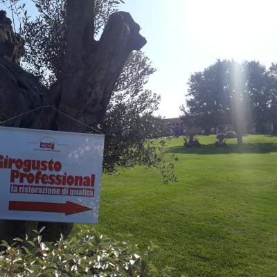 Girogusto Professional