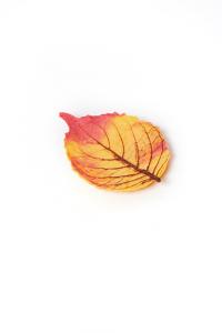 Foglia finger autunnale - Savoury Pastry Leafs Box 296 g nt. wt.