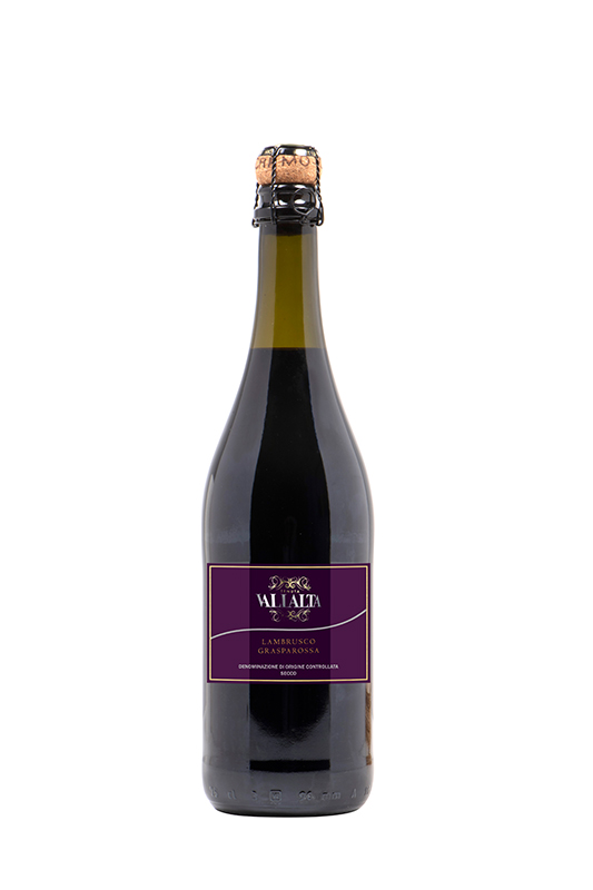 Lambrusco Grasparossa DOC sec Bouteille 750 ml