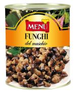 Funghi del muschio - Straw Mushrooms