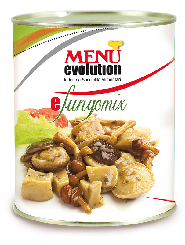 Èfungomix Tin 760 g nt. wt.