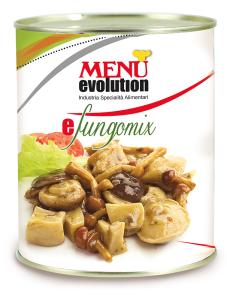 Èfungomix Tin 760 g nt. wt.