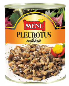 Funghi Pleurotus trifolati - Pleurotus Mushrooms with Olive Oil, Garlic and Parsley Tin 800 g nt. wt.