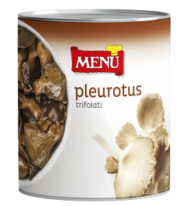 Funghi Pleurotus trifolati - Pleurotus Mushrooms with Olive Oil, Garlic and Parsley Tin 800 g nt. wt.