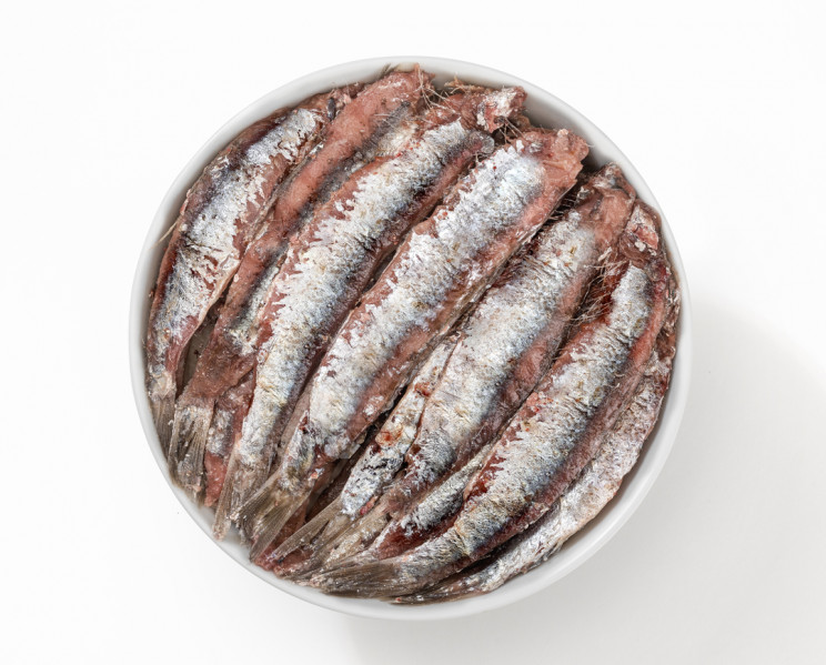 Acciughe salate - Salted Anchovies