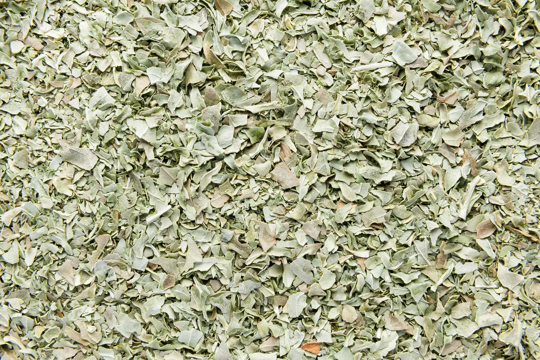 Basilico liofilizzato