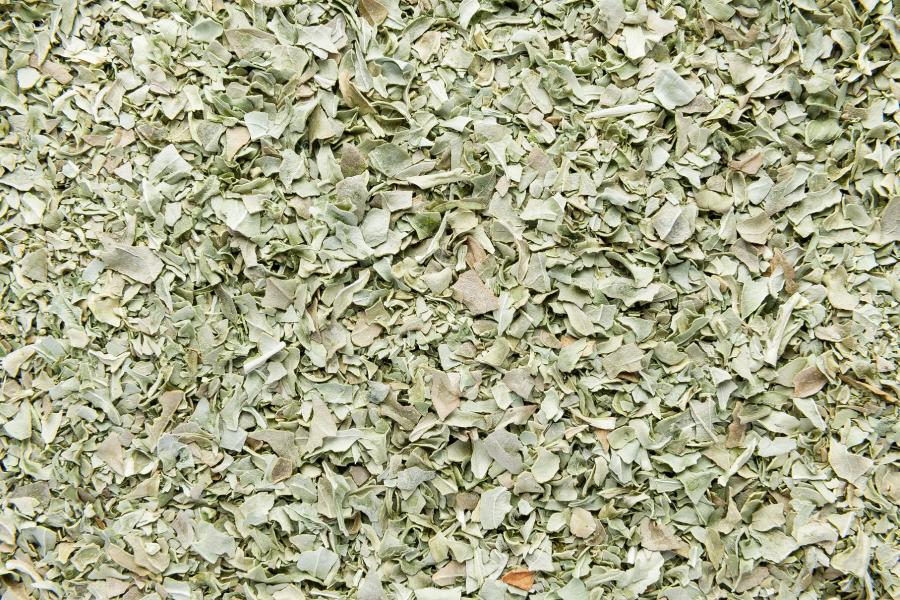 Basilico liofilizzato (Albahaca liofilizada)