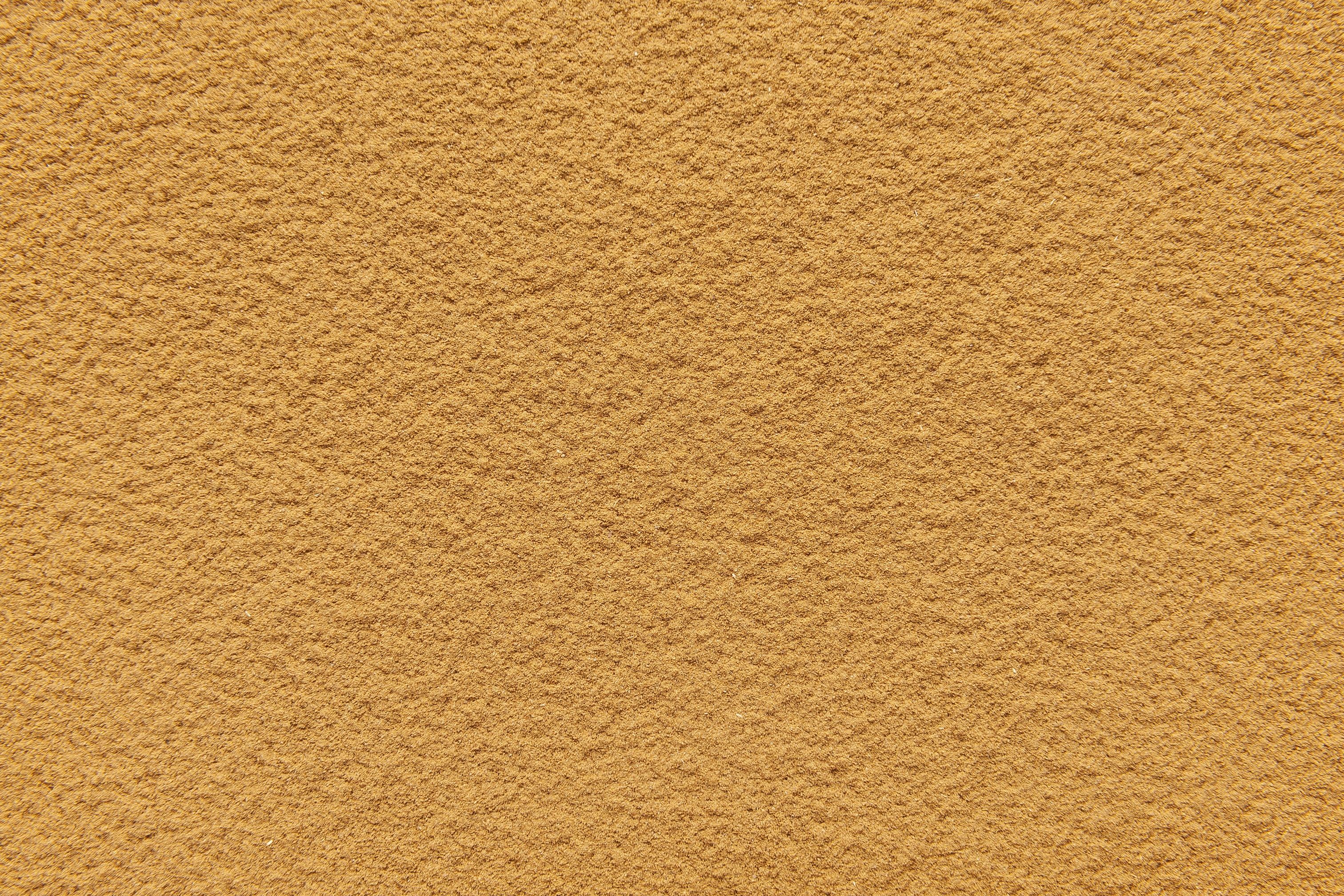 Cannella macinata (Canela molida)