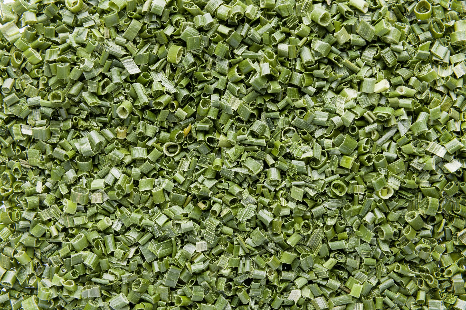 Erba cipollina liofilizzata (Chives freeze-dried)