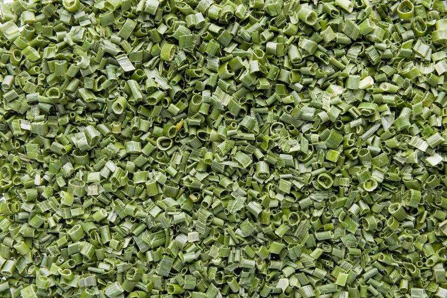 Erba cipollina liofilizzata (Cebollino liofilizado)