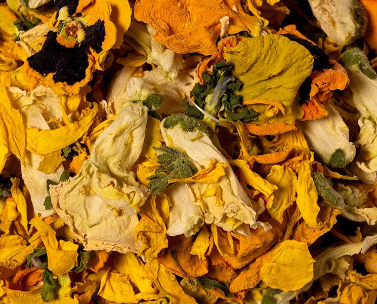 Flower Mix Giallo (Gelbe Blumenmischung)