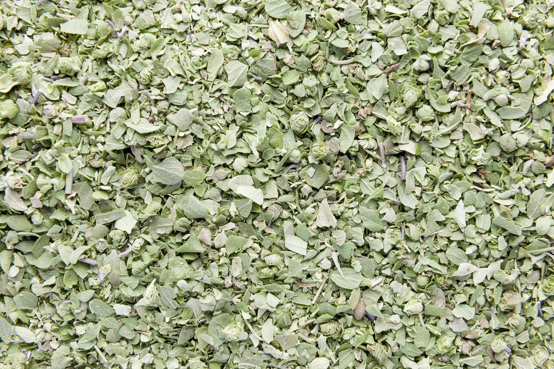 Maggiorana liofilizzata (Marjoram freeze-dried)
