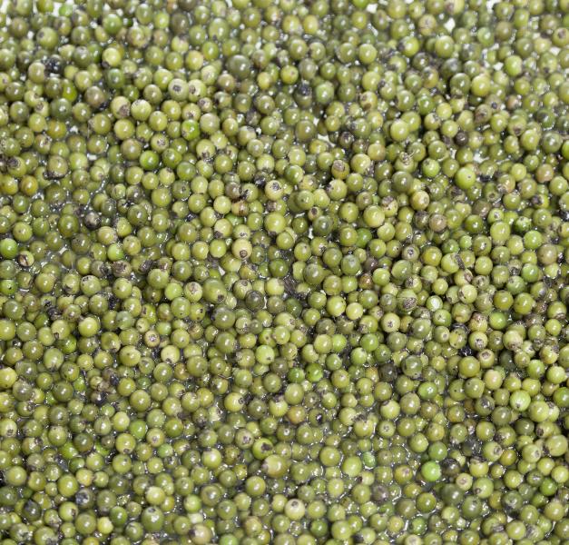 Pepe verde intero in salamoia (Pepper green whole in brine)