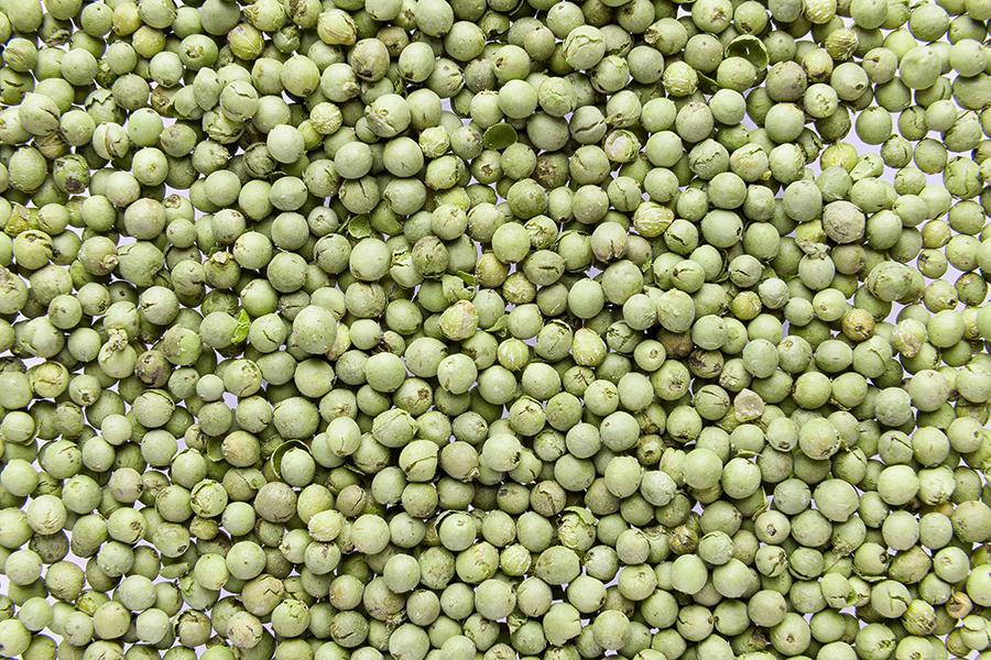 Pepe verde intero liofilizzato (Pepper green whole freeze-dried)