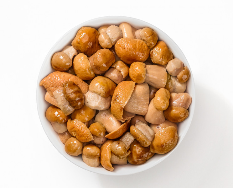 Porcini del re per antipasti - “Royal” Porcini mushrooms for appetisers