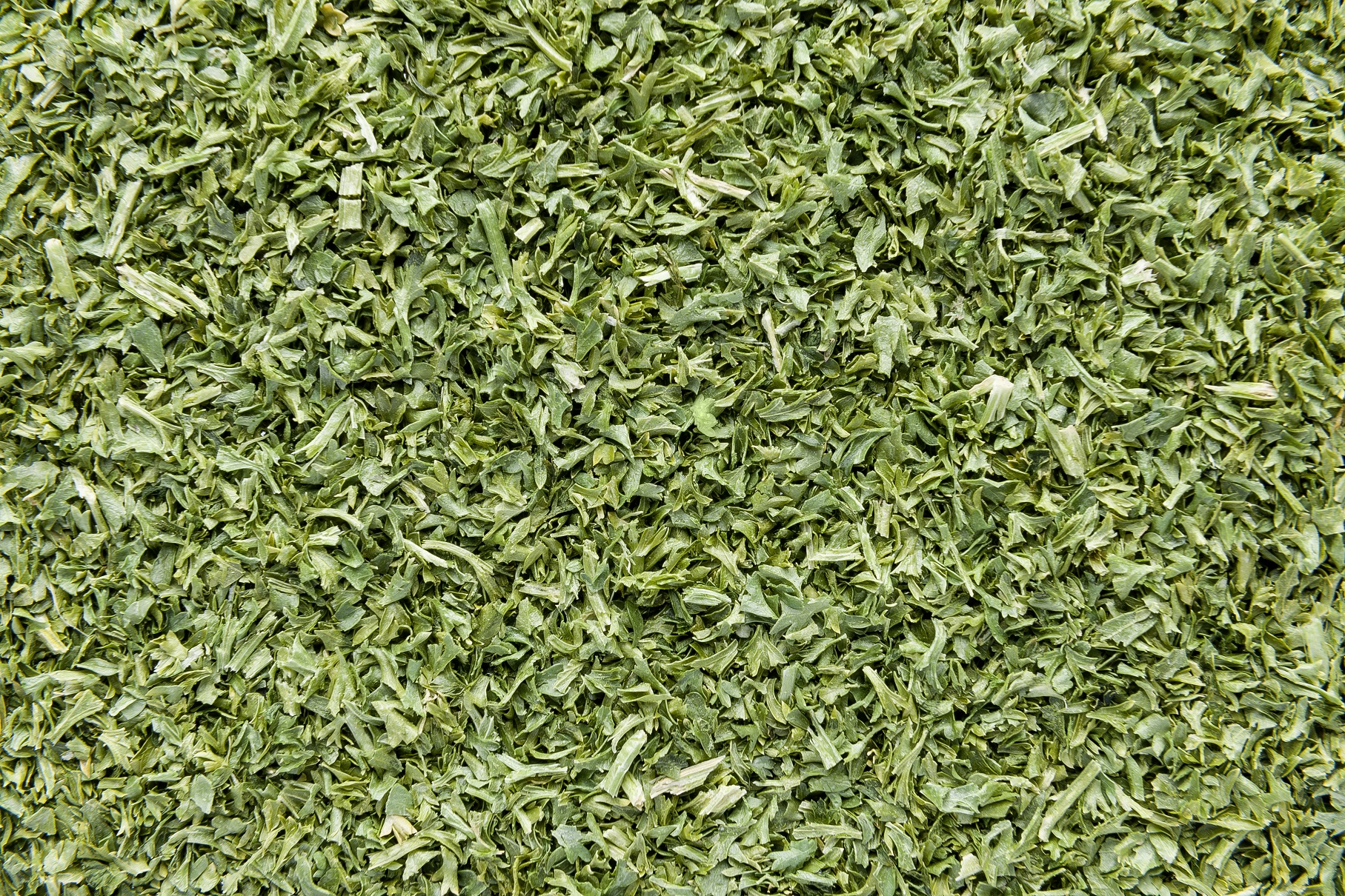 Prezzemolo liofilizzato  (Parsley freeze-dried)