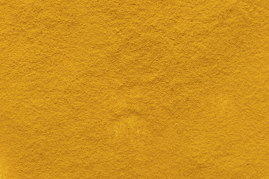 Radice di Curcuma macinata