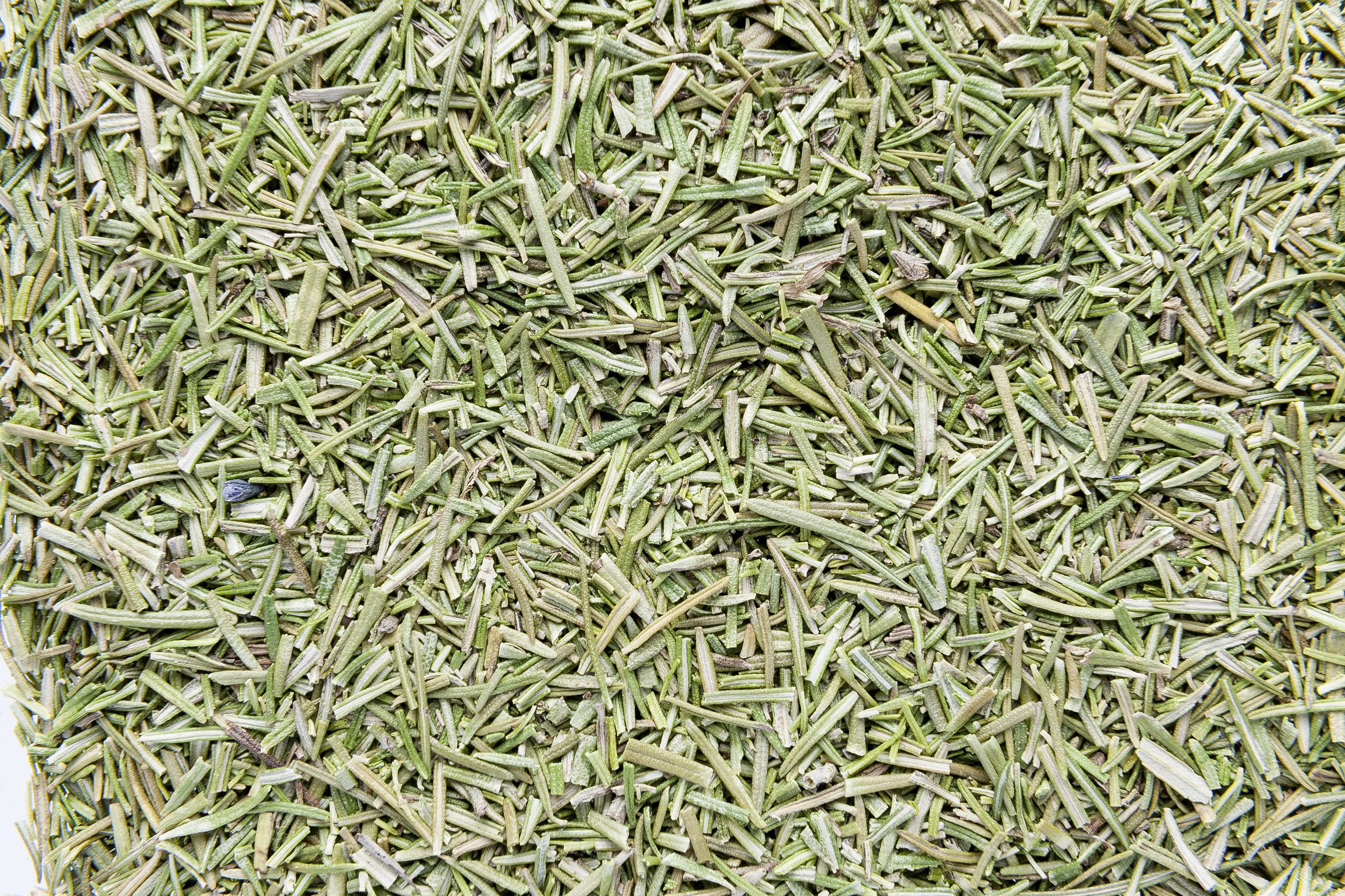 Rosmarino Liofilizzato (Rosemary freeze-dried)