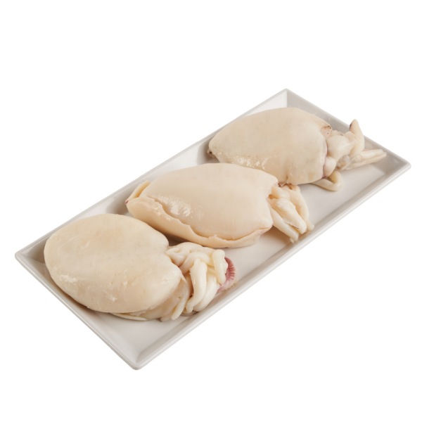 Seppia cotta - Gekocht Tintenfisch