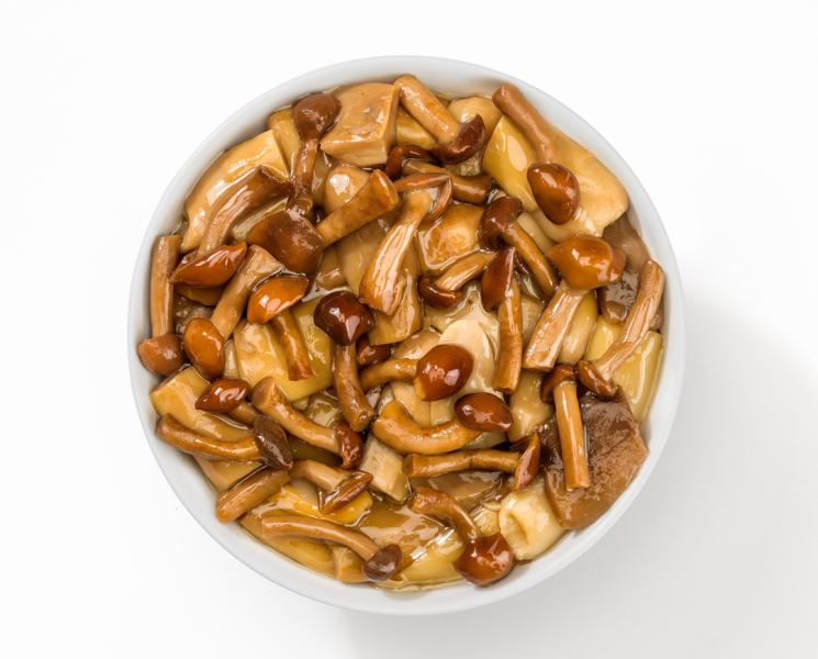 Solofungo Poker Natura (Vier Pilzsorten, natur)