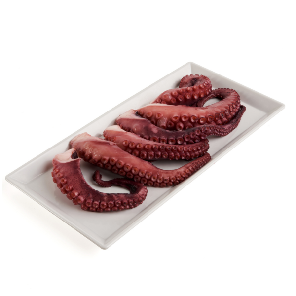 Tentacoli di polpo cotto - Cooked octopus tentacles