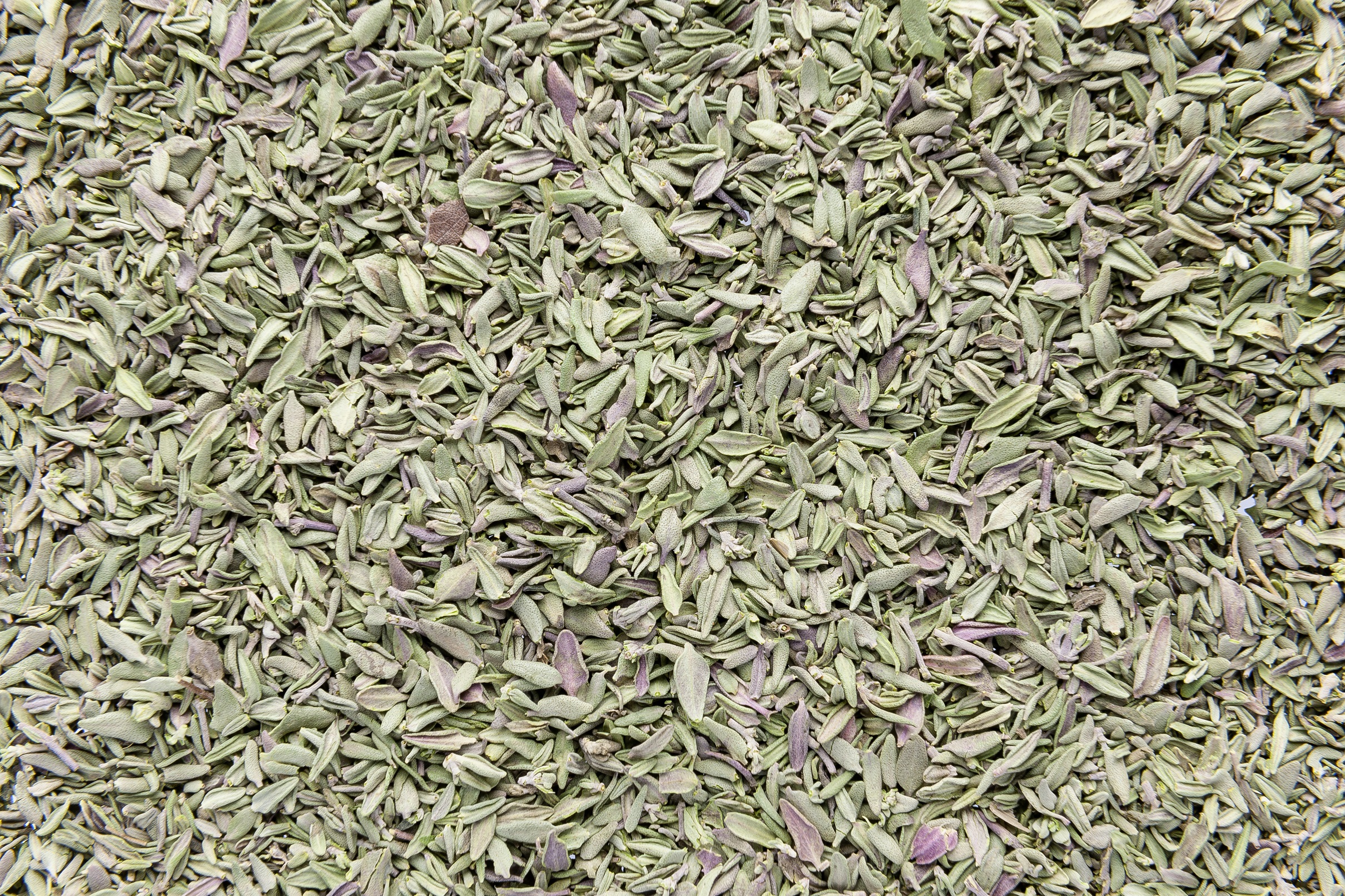 Timo Liofilizzato (Thyme freeze-dried)