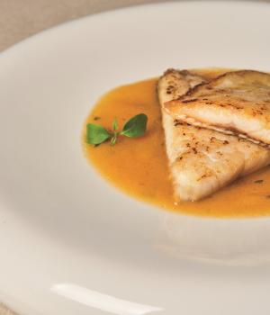 Branzino su vellutata di pomodoro giallo