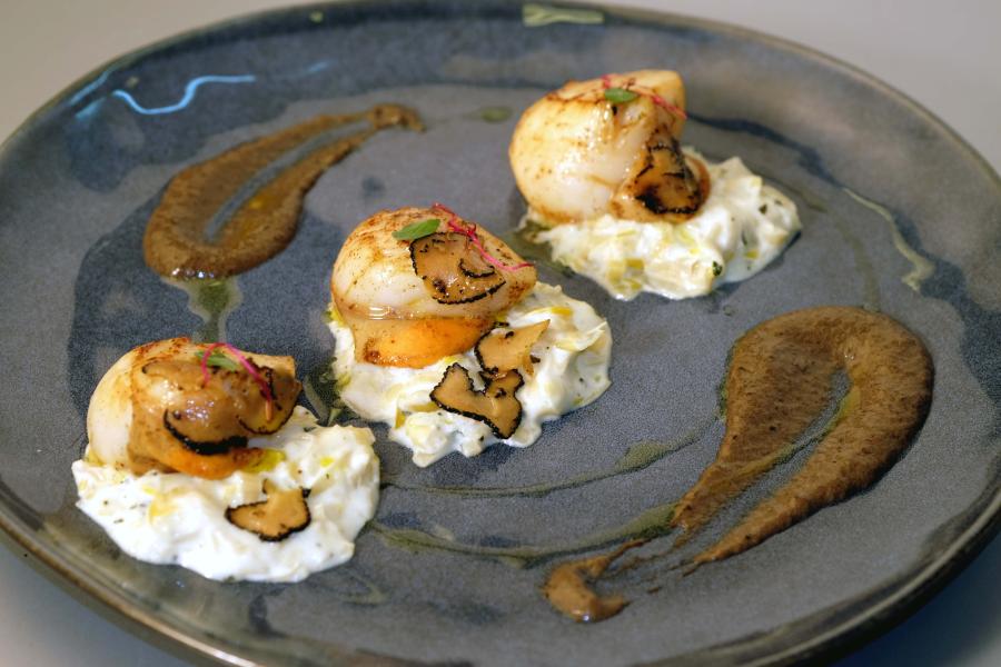 Scallops on leek cream sauce and truffle