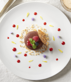 CHEESECAKE AL CIOCCOLATO CON COULIS DI LAMPONI