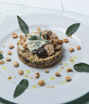 CINCO CEREALES CON SETAS