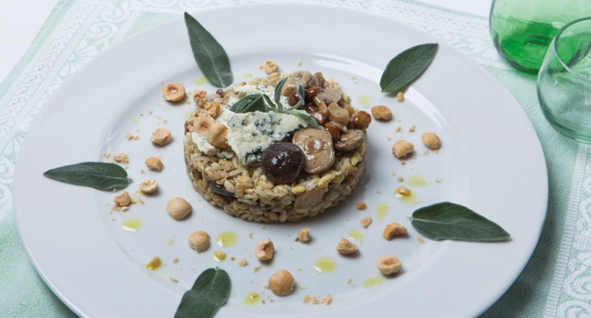 CINCO CEREALES CON SETAS