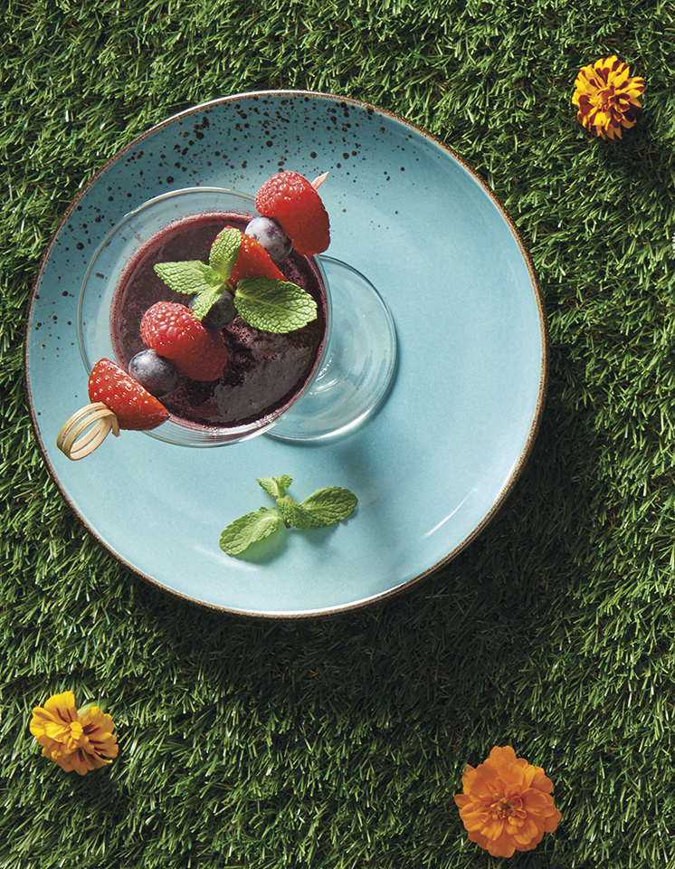 Lambrusco Grasparossa Coocktail