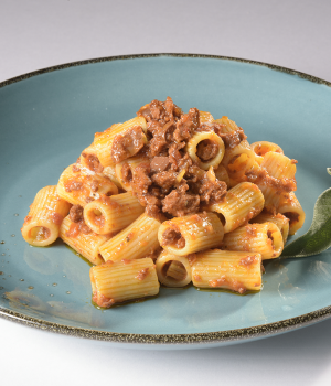 MEZZE MANICHE PASTA WITH VEGAN RAGOUT