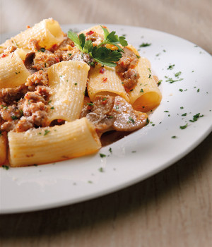 Rigatoni with sausage, mushrooms in a spicy sauce