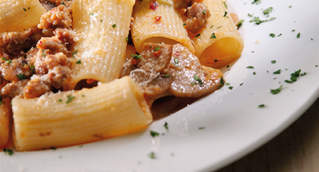 Rigatoni with sausage, mushrooms in a spicy sauce