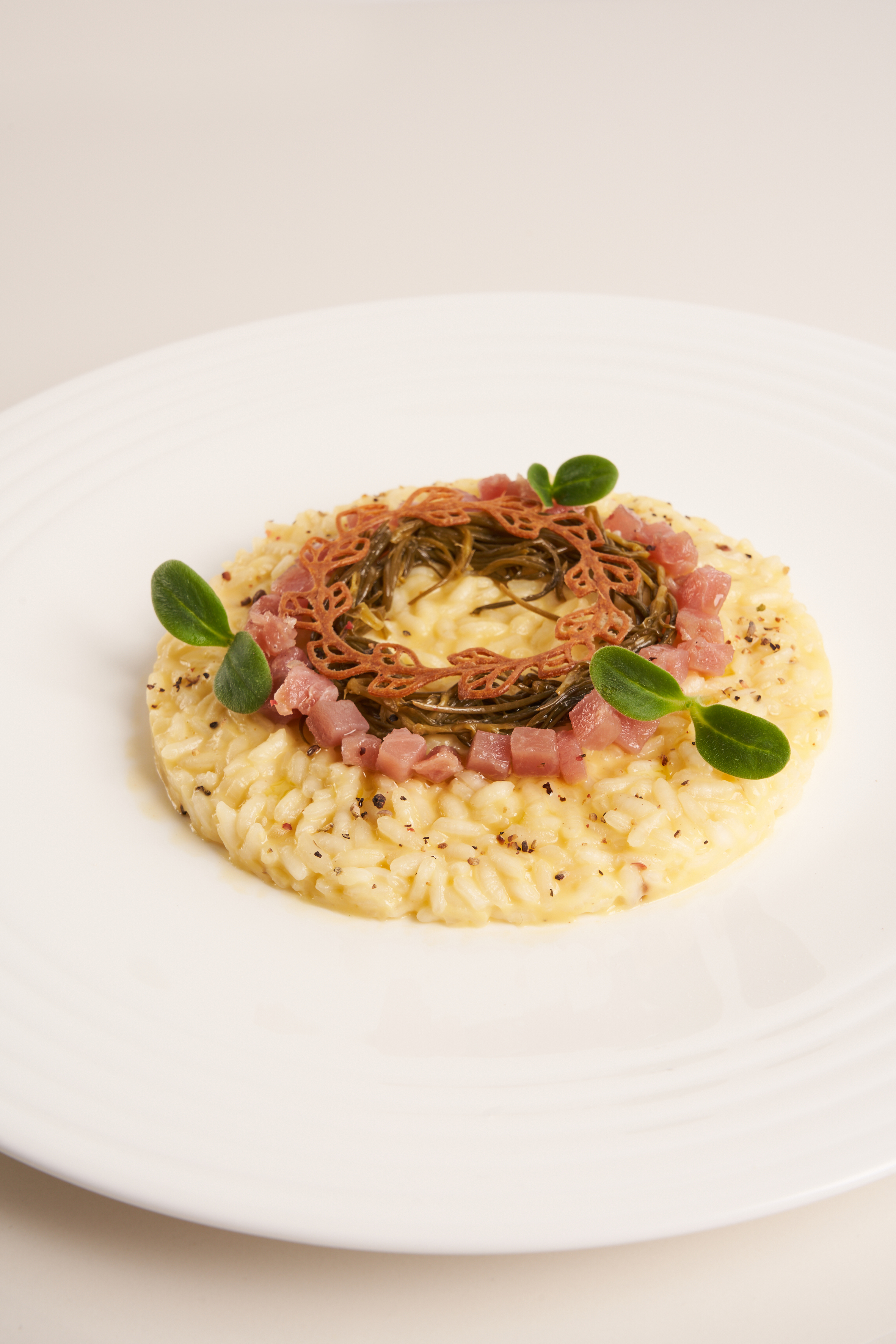 RISOTTO WITH CARBONARA SAUCE, SMOKED TUNA AND SALTWORT