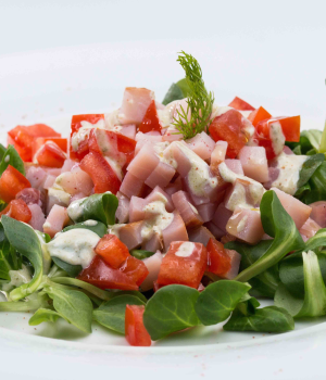 Tartare di pesce spada con dressing all'aneto