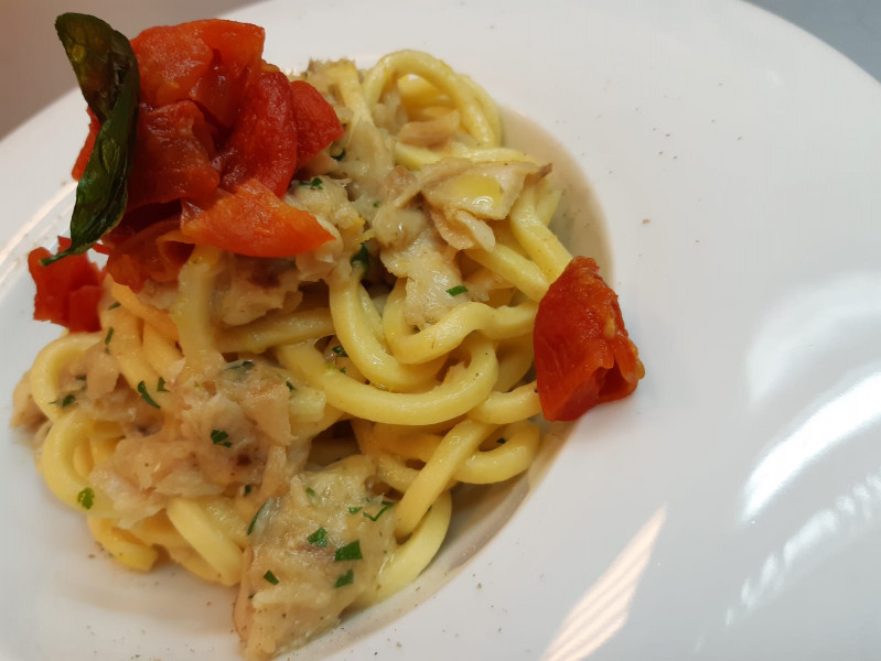 Tonnarelli pasta with grouper, mini red and lemon zest
