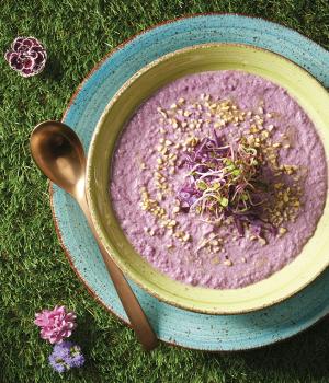Red Cabbage Veloutè with Hazelnuts